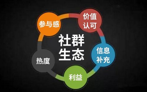 上海開發一個java商城系統要多久